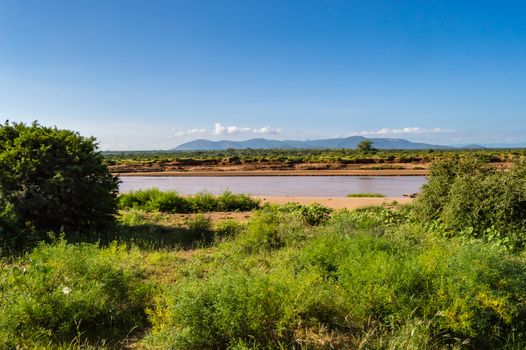 View of the Ewaso Ng'iro River in the savannah of Samburu Park in central Kenya