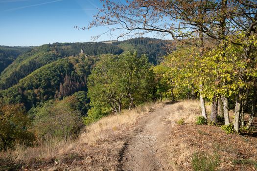 Hiking trail close to Cochem, Germany