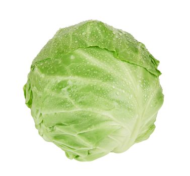 green cabbage isolated on a white background