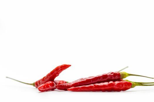 Red chilli are laid on white background.