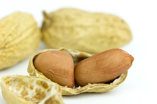 Peanut seed is placed on a white background.