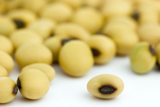 Soy beans are laid on a white background.