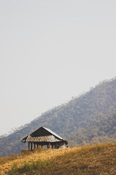 The hut among the mountains is surrounded by forests in summer. The concept of seclusion is truly blissful. Copy spaces for text.