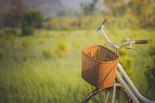 Bicycle parked on the way to the morning sunlight. And organic vegetable farms with mountains background. Copy space for text or article.