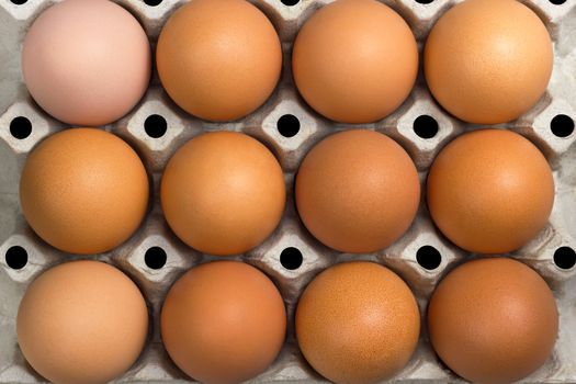 Closeup top view angle of fresh egg in paper panel on white background.