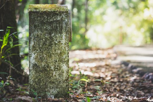 The old kilometres marker is made of cement by the road in the forest. The concept of tourism travel.