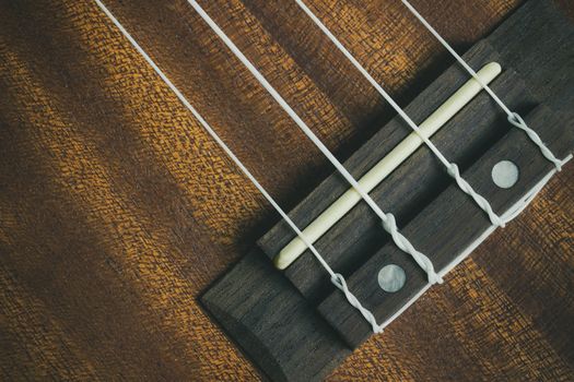 Ukulele bridge saddle and string. Suitable for background music articles.