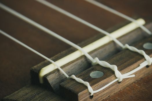 Ukulele bridge saddle and string. Suitable for background music articles.