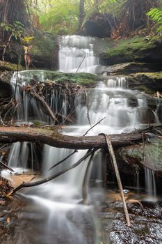Water cascades over mossy rocks and fallen trees down the mountain valley after rain in Blue Mountains wilderness