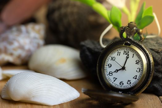 Vintage pocket watch and shell on wood background. At 8 o'clock. The concept of new morning day or resumption.