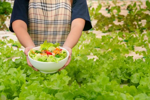 fresh organic salad with tuna in white bowl in farm