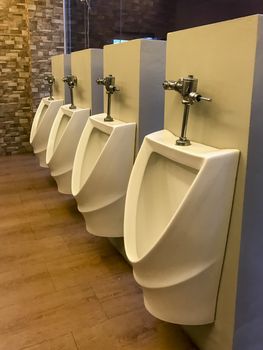White men's urinals lined in a toilet