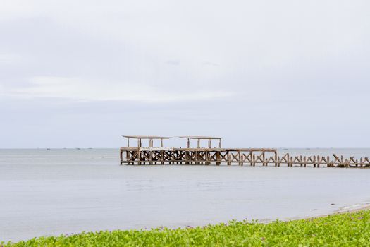 Cement bridge To the sea with sea vegetables