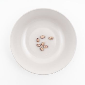 Some dried pinto beans on a plate