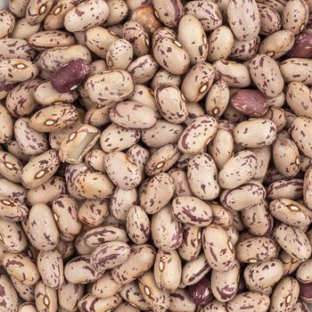 Detail of dried Pinto beans as a background