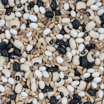 A mixed dried cereals (spelled, barley and beans) as a background