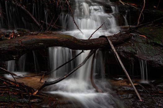 One of the waterfalls along Den Fenalla gully a fallen tree across the path of this one.