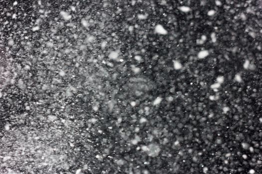 white snow falls on the black sky. Snowstorm on a black background. In isolation. heavy snowfall.  drifts. severe winter.the texture is heavy snowfall on a black background