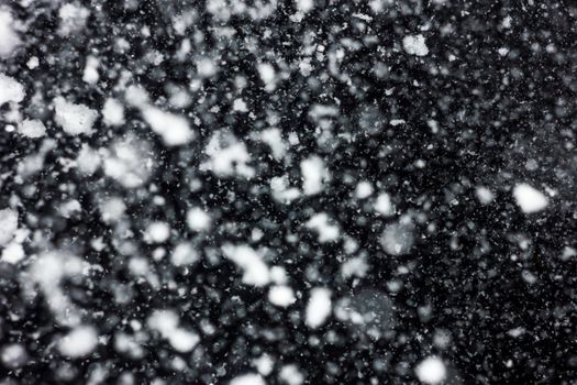 white snow falls on the black sky. Snowstorm on a black background. In isolation. heavy snowfall.  drifts. severe winter.the texture is heavy snowfall on a black background