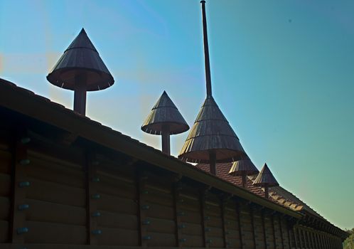 Brown wooden wall with spear like decorations on top