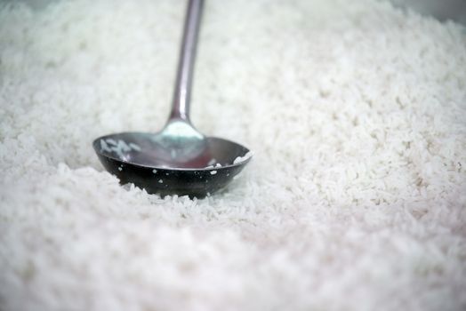 Steamed white rice with ladle.