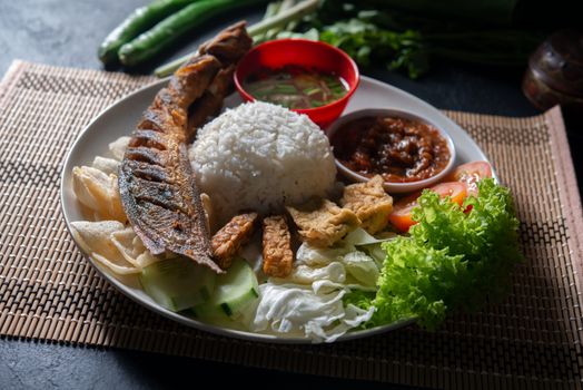 Fried catfish rice with sambal, popular traditional Malay or Indonesian local food.