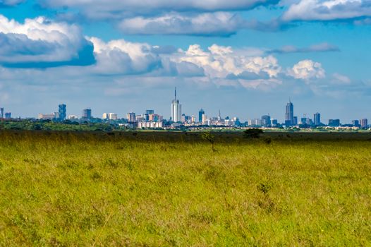 View of Nairobi park savannah with city buldings in background in central Kenya