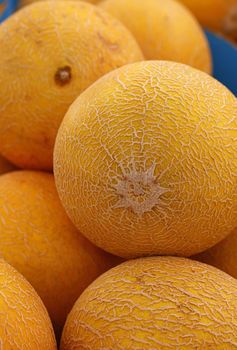 Close up whole fresh ripe summer yellow cantaloupe melons on retail display of farmers market, high angle view