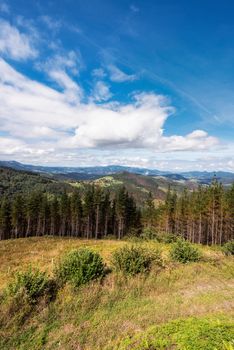 Vizcaya forest and mountain landscape, Basque country, Spain.