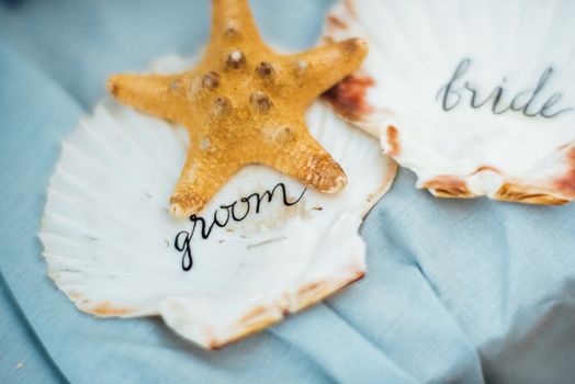 starfish and seashell wedding decor