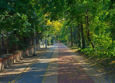 Red bricks pathway in Palic park, Serbia