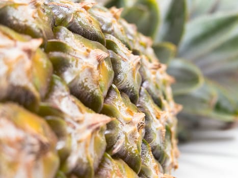 Close view of the pineapple bark horizontally, with pesticide and leaves in the background