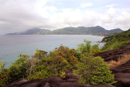 Green tropical trees on the mountain slopes.