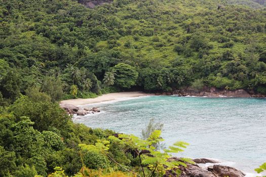 Green tropical trees on the mountain slopes.