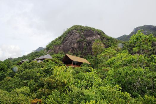 Green tropical trees on the mountain slopes.