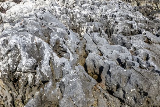 rugged limestone sea rocks at low tide