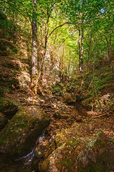 The Devin River Valley in the Western Rhodopes