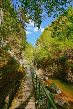 The Devin River Valley in the Western Rhodopes