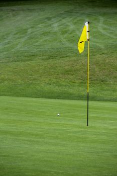 Golf flag on the green grass field close up