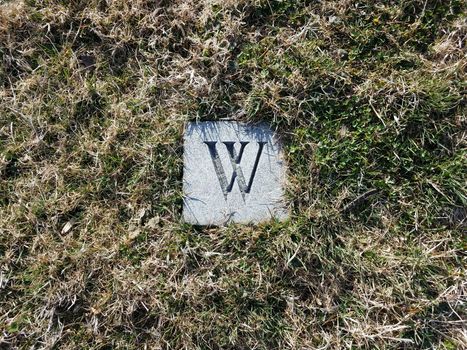 carved letter W in green grass or lawn or yard