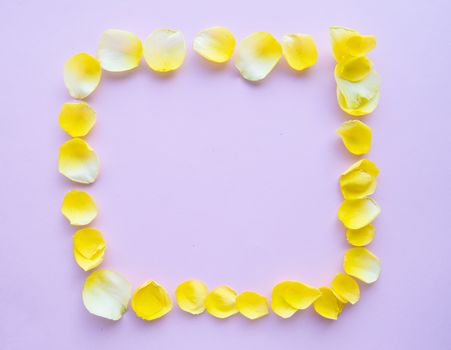 Flower frame with rose petals on pastel pink background. Flat lay, Valentine background.