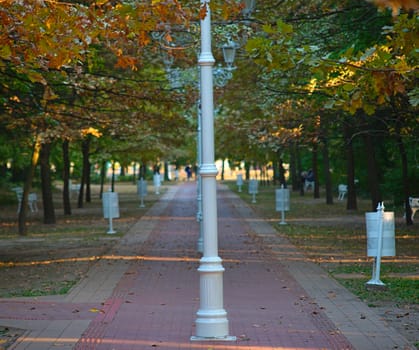 Red bricks pathway with row of lanterns in middle