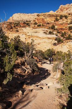 Scenic view along the Hickman Natural Bridge Trail in the Capitol Reef National Park. Utah. USA