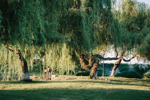 wedding ceremony area, arch chairs decor with trees