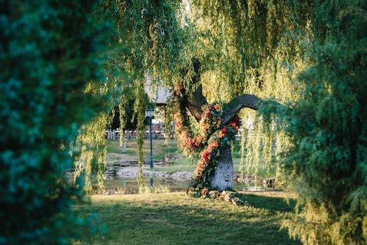 wedding ceremony area, arch chairs decor with trees