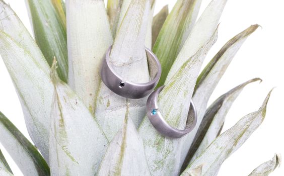 Wedding rings on a pineapple, isolated on a white background