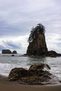 Beautiful view of the beach in the Olympic National Park, Washington, USA