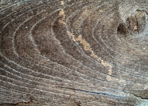 Background texture of old wood