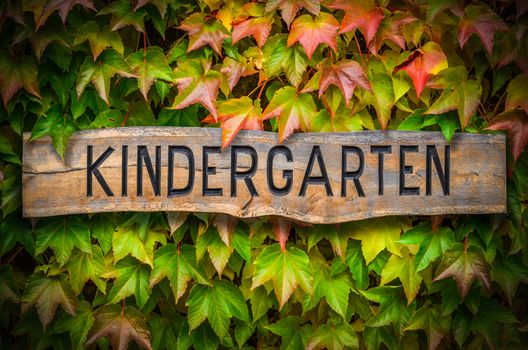 Rustic Wooden Carved Kindergarten Sign Against A Beautiful Leafy Backdrop