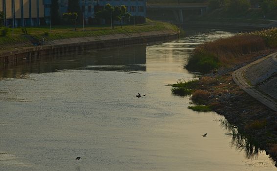 View on Begej river in Zrenjanin, Serbia